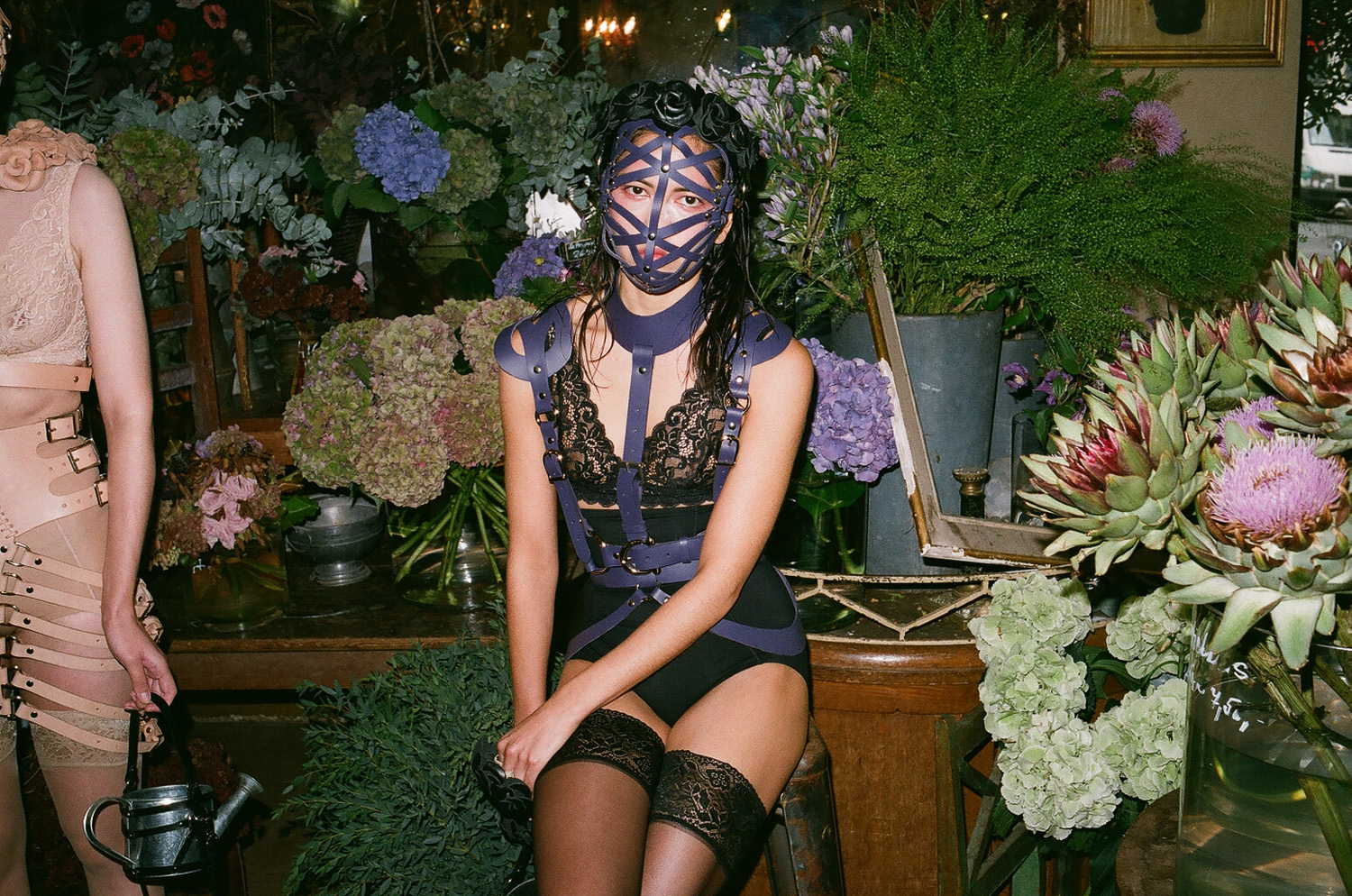 Zana Bayne
