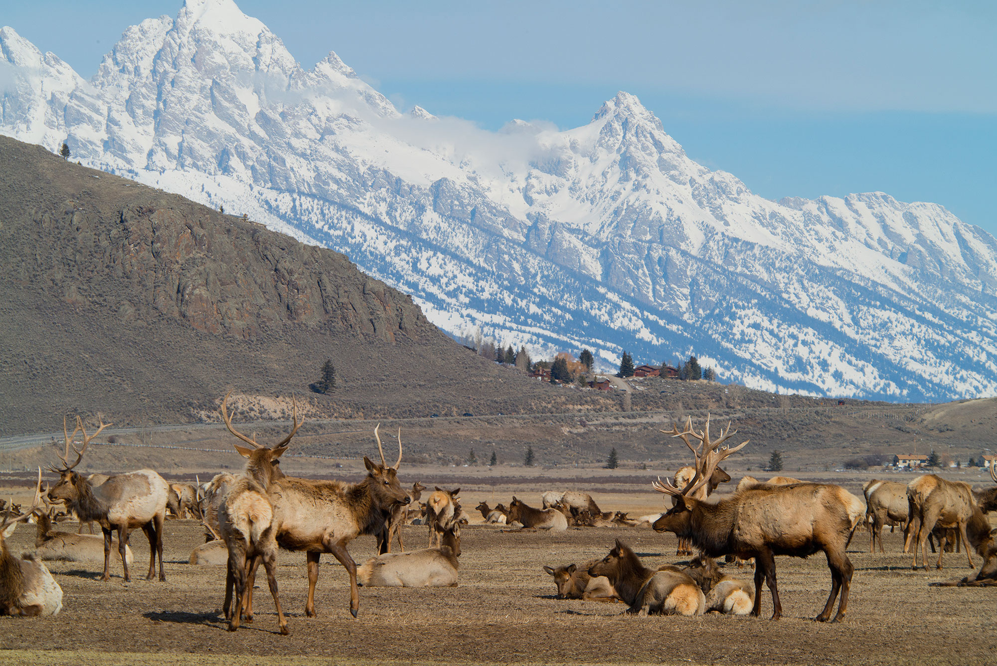 Jackson Hole. Image courtesy of Pete Seaward / Lonely Planet