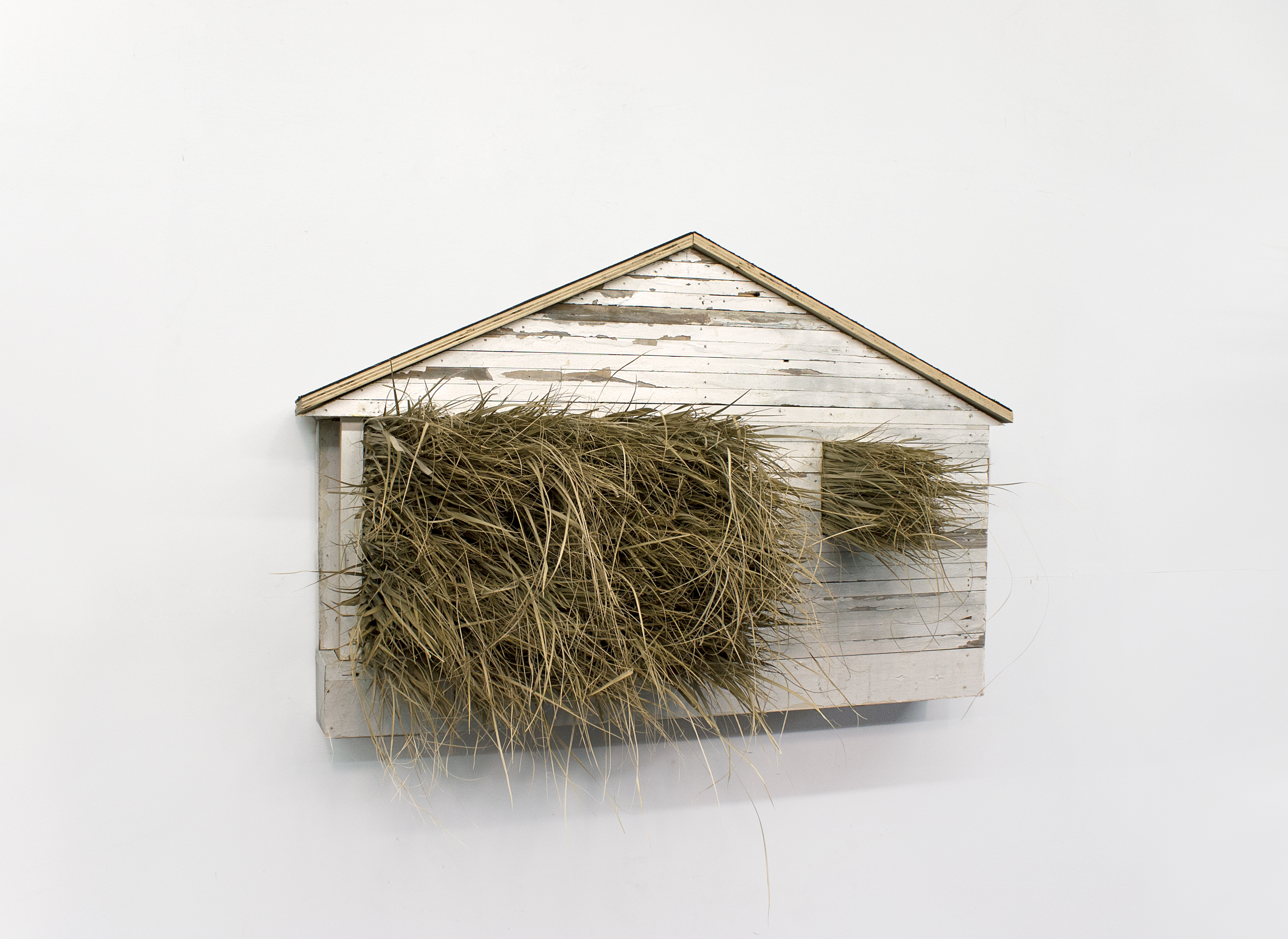 Fletcher Williams III, Longterm
