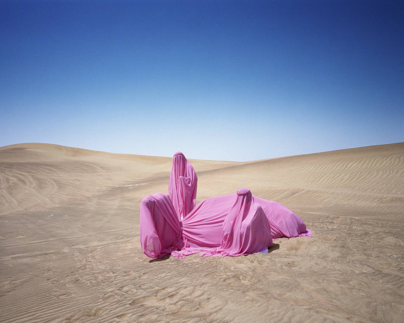 Scarlett Hooft Graafland, Still life with Camel, 2016 - C-Type Print