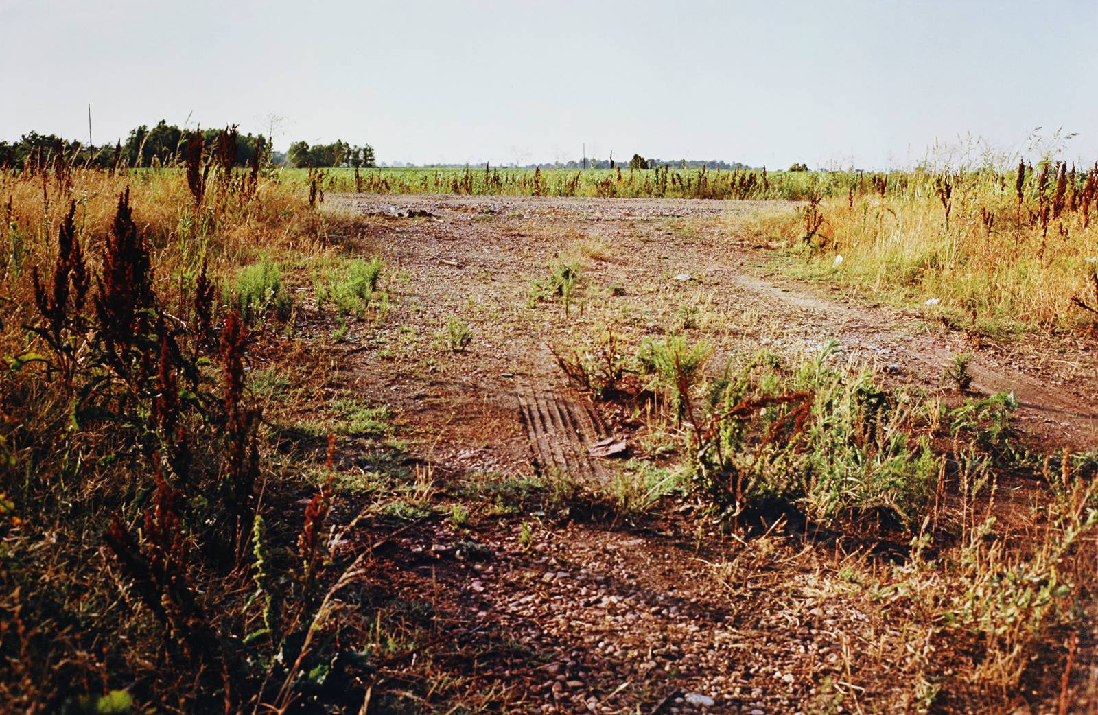 Eggleston - Plate 10 of Fifteen