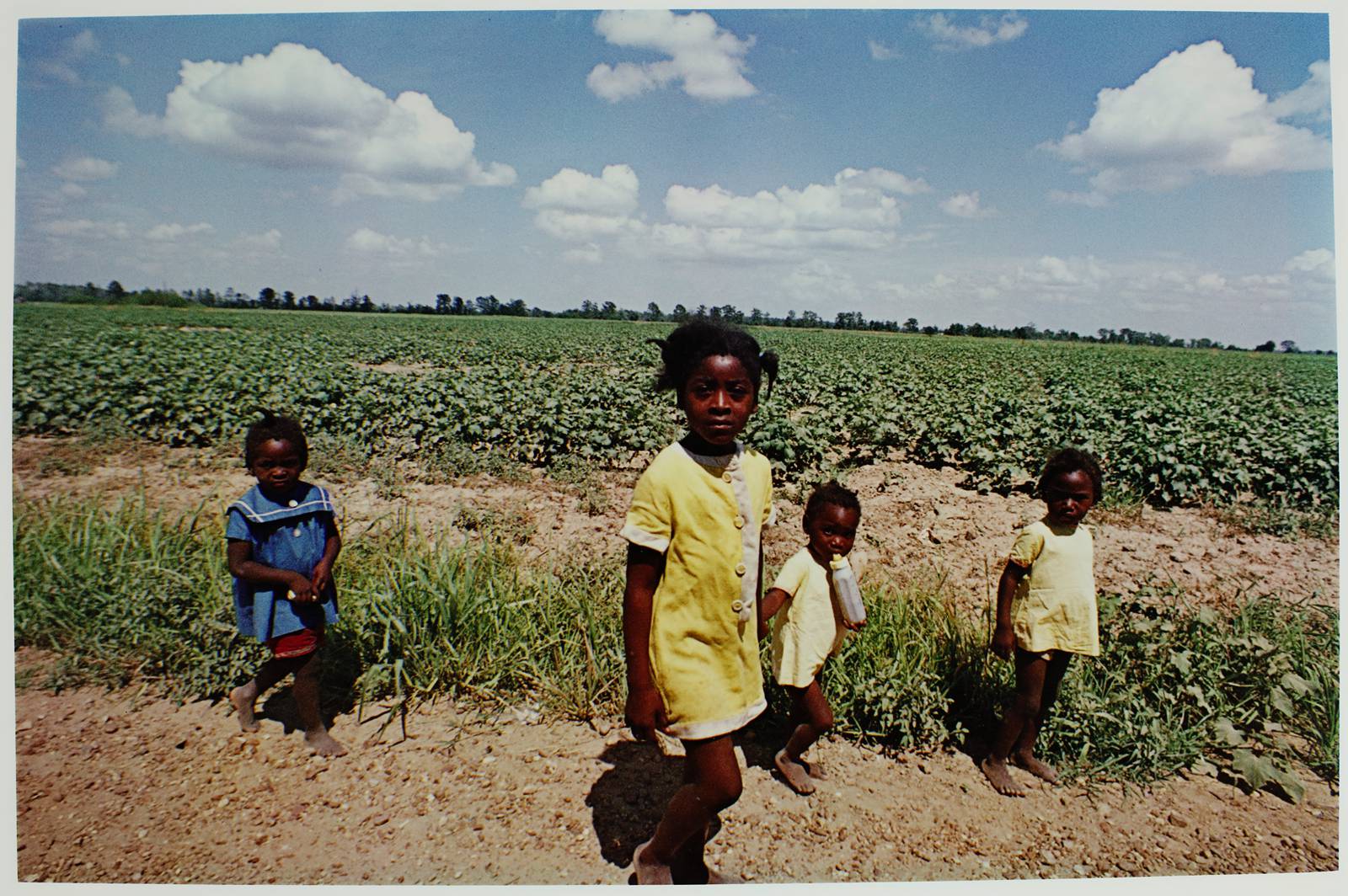 Eggleston - Plate 2 of Fifteen