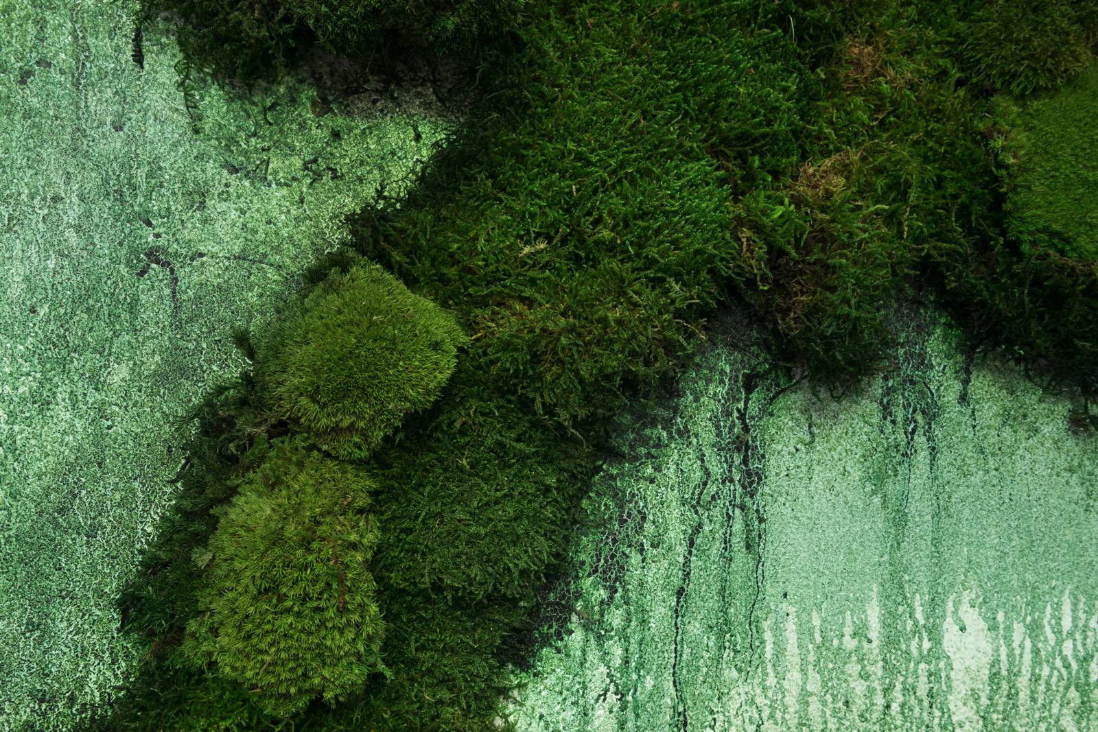 JennaSutela_Photo_IstvanVirag_HighRes_03.jpg