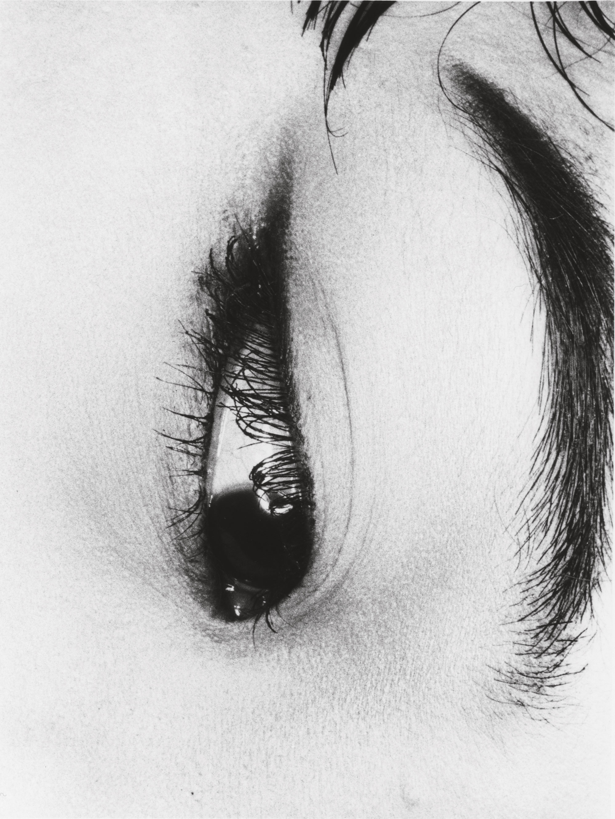 161-Araki