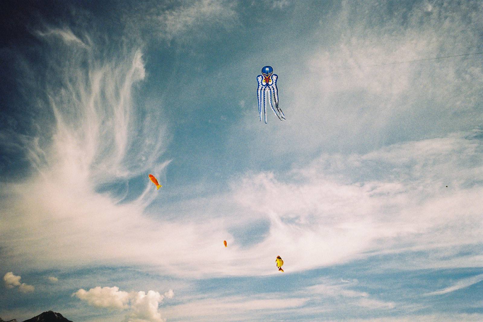 Shimabuku, When Sky was Sea, 2002 Courtesy de l'artiste et Air de Paris