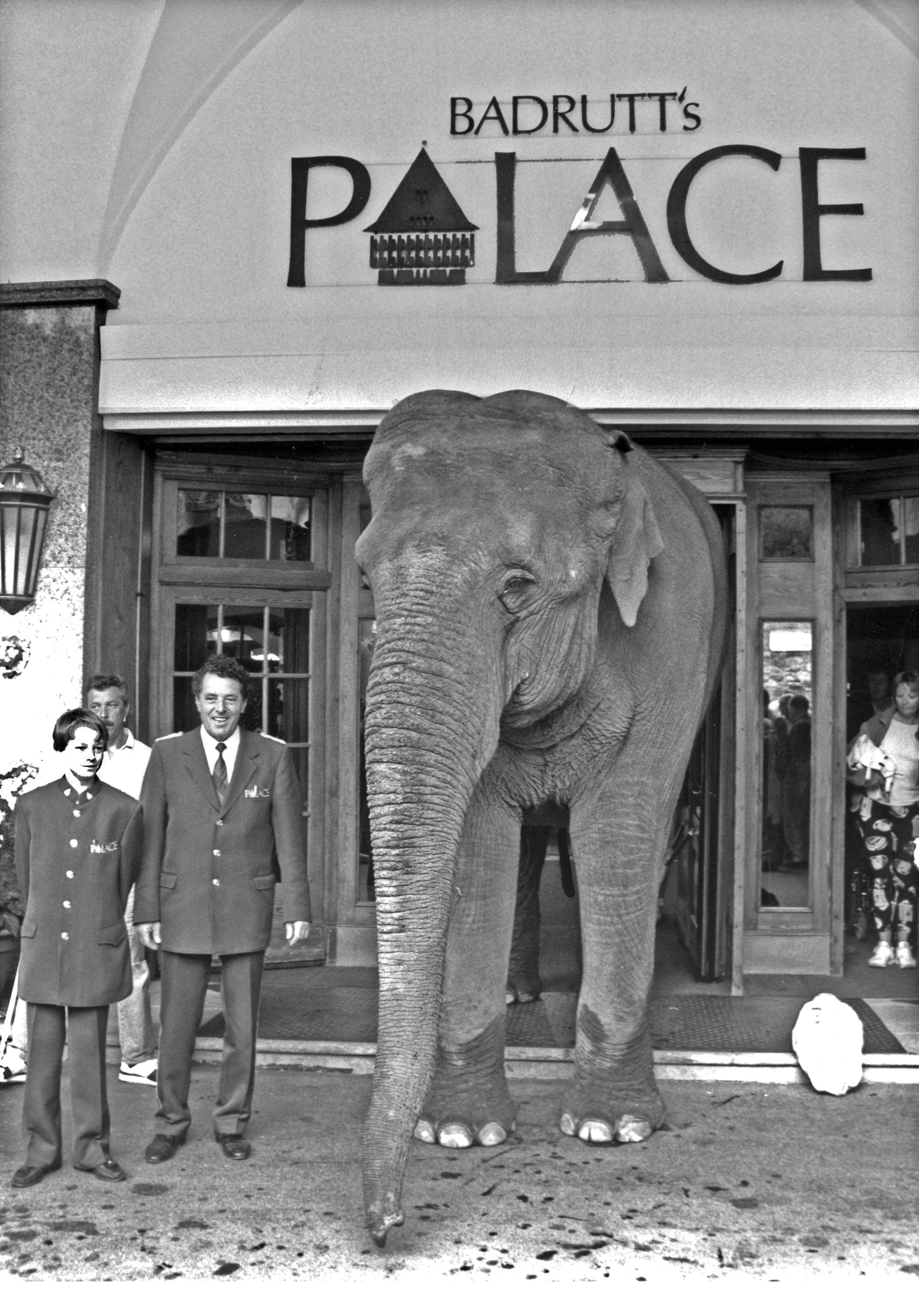 Badrutts-Palace-Hotel-Review---Elephant-Delivers-Present