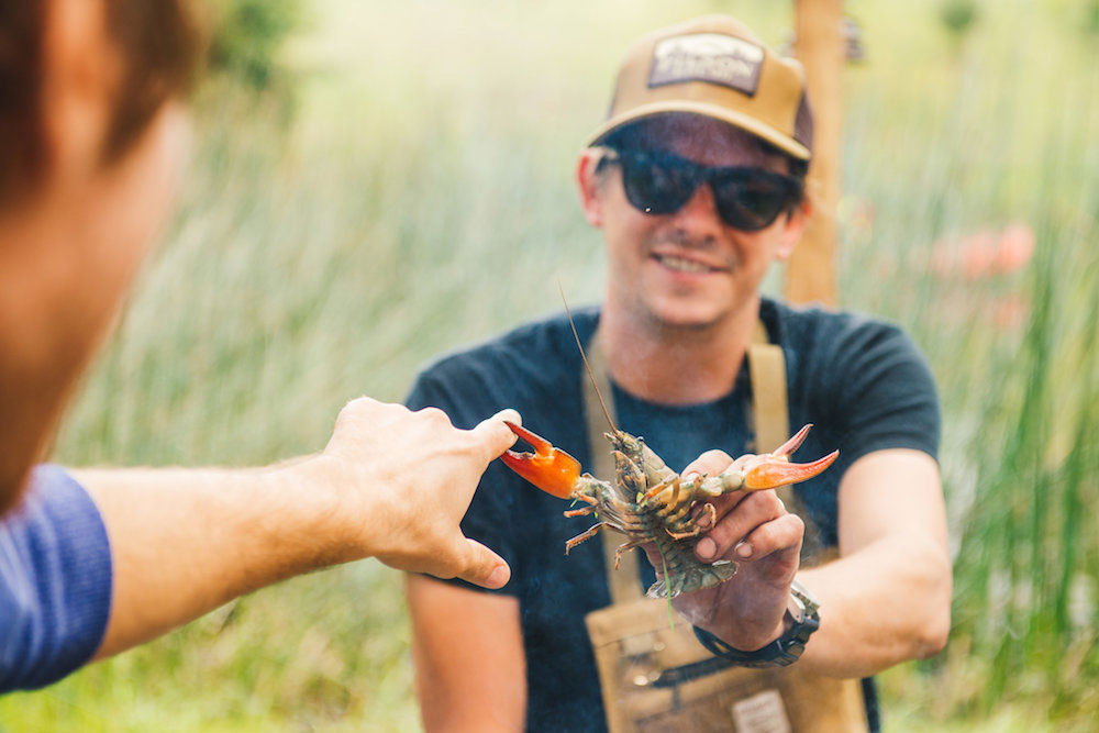Best-Food-Festivals-Wilderness-Festival-Oxfordshire-UK-2
