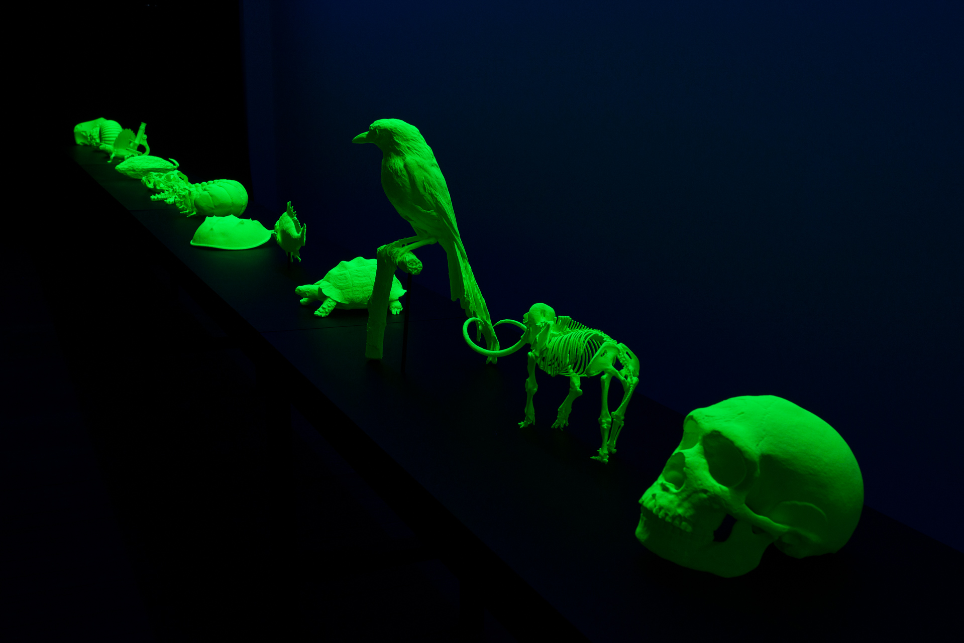 Riga International Biennial of Contemporary Art