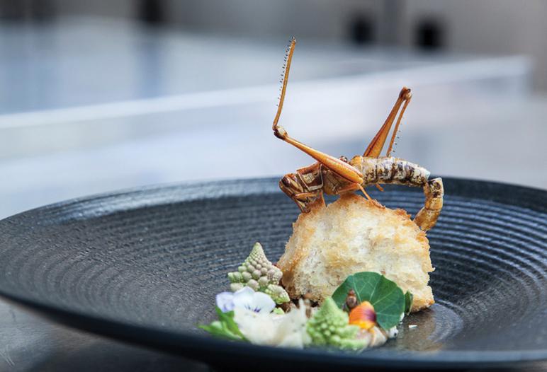 Edible Insects-4