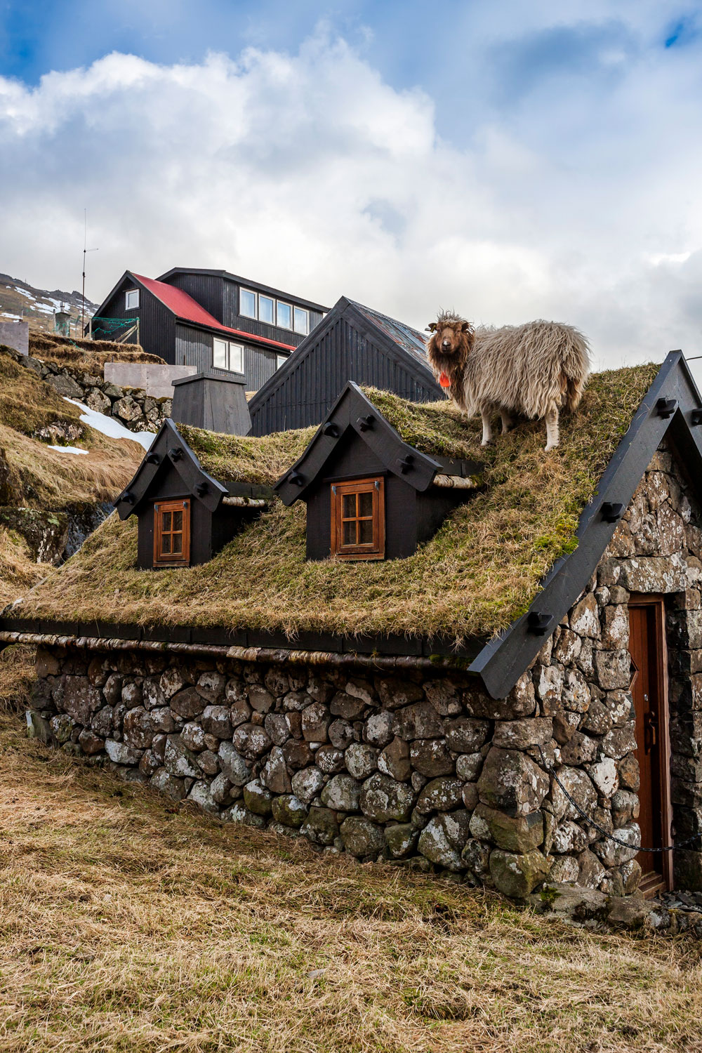 Faroe-ISlands-Food-Culture-Olavur-Frederiksen