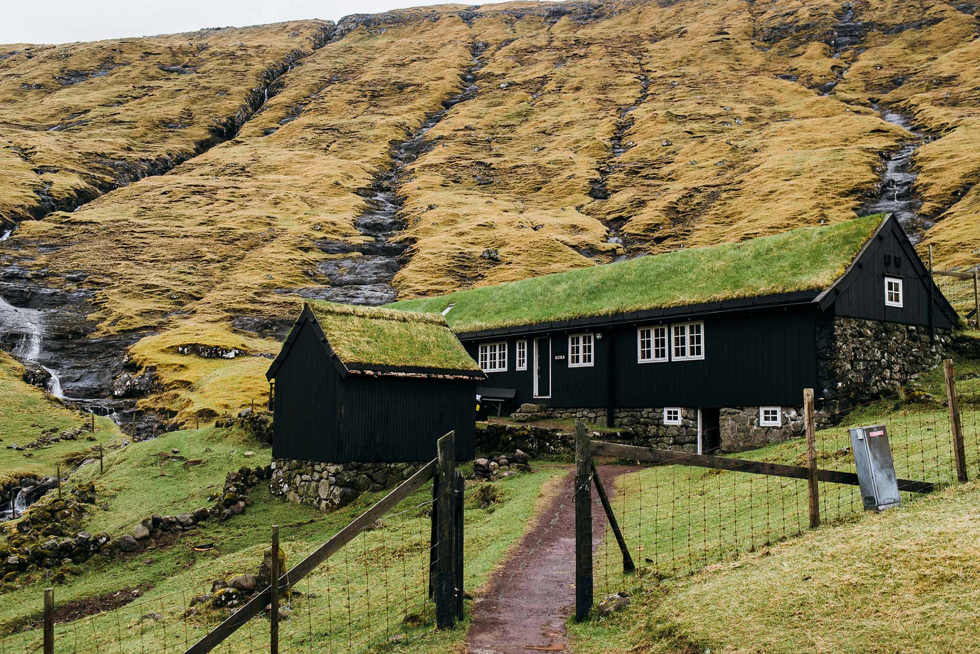 Faroe Islands Food Culture--23