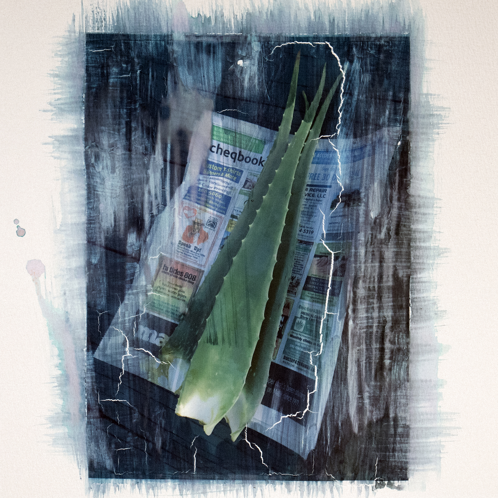Lawrence-Sumulong-Aloe-Vera