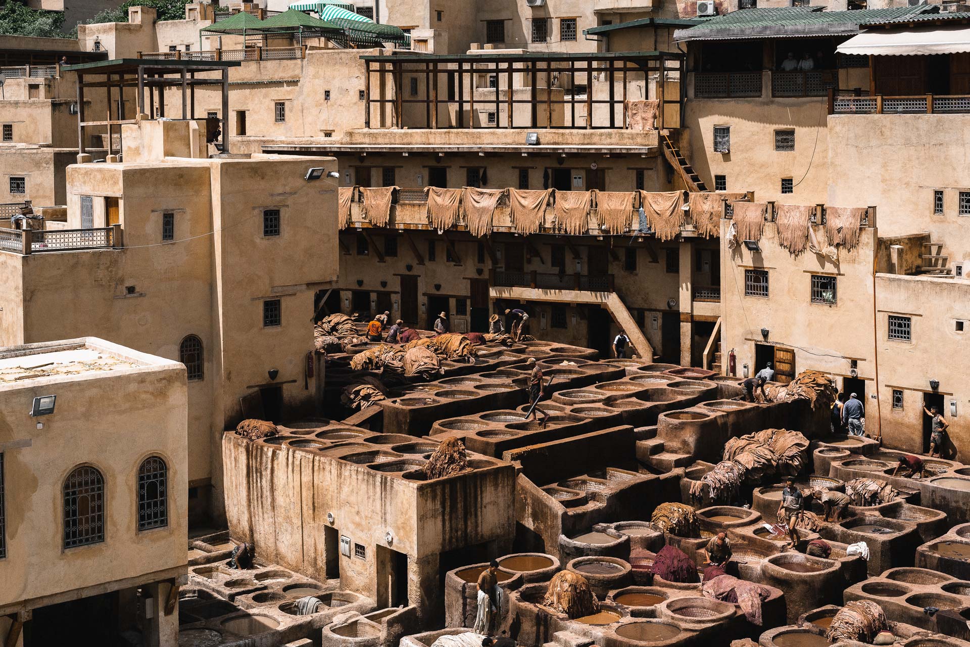 Najat Kaanache Interview (6 of 8)