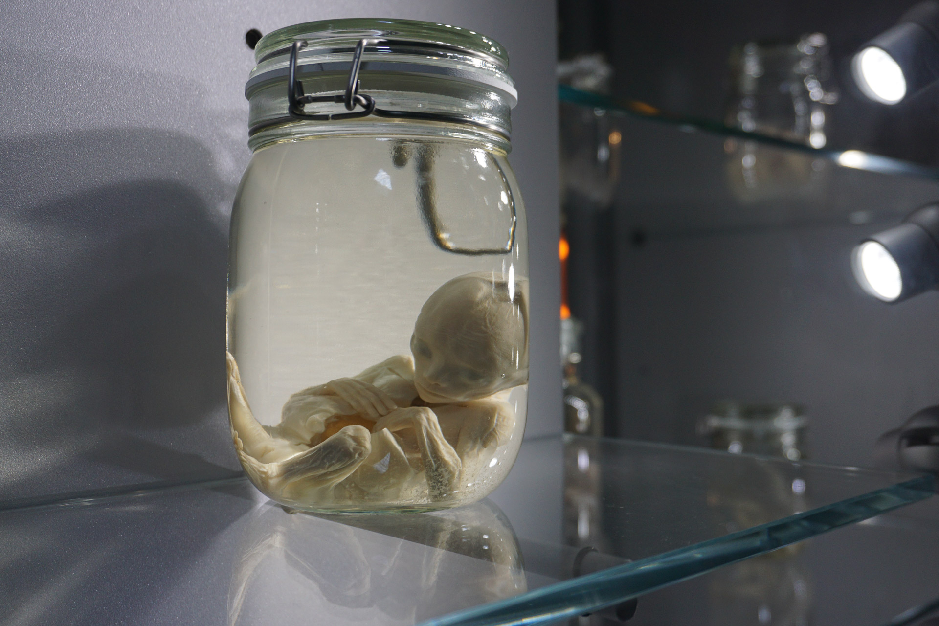 Verbeke Foundation Gallery Belgium (2 of 2)