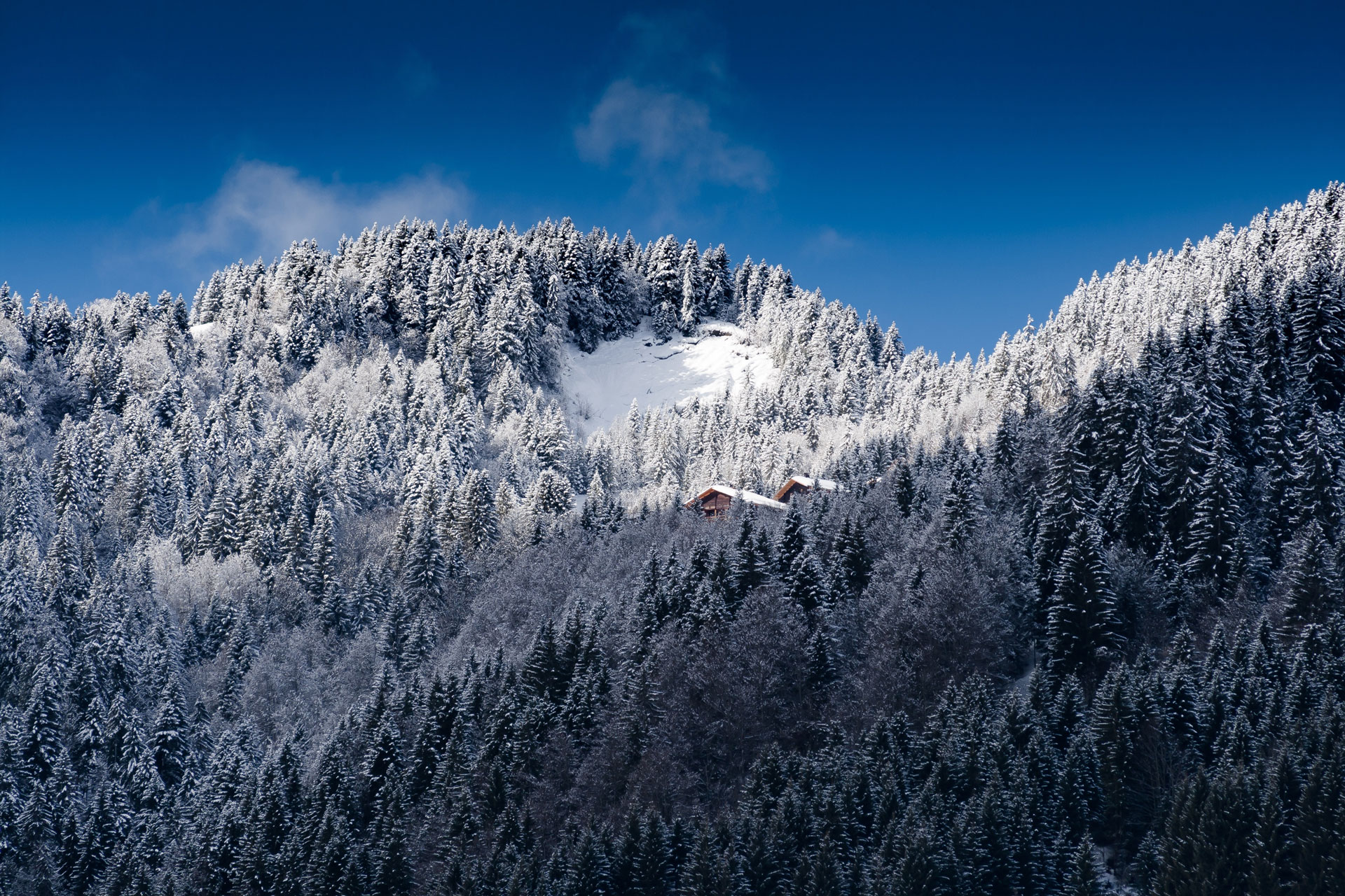 Anthony-Lassman-Note-Bene-Holiday-Super-Fixer-Gerome-Bruneau-604340-unsplash