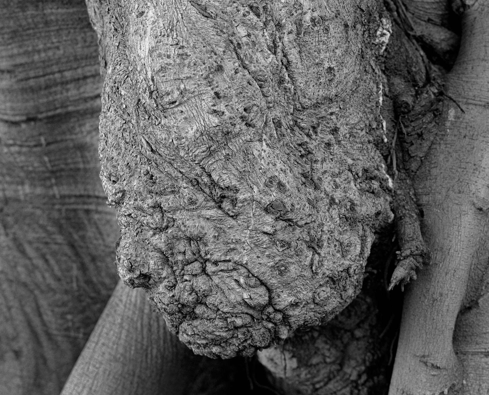 In Fourth Person Calabria (3 of 6)