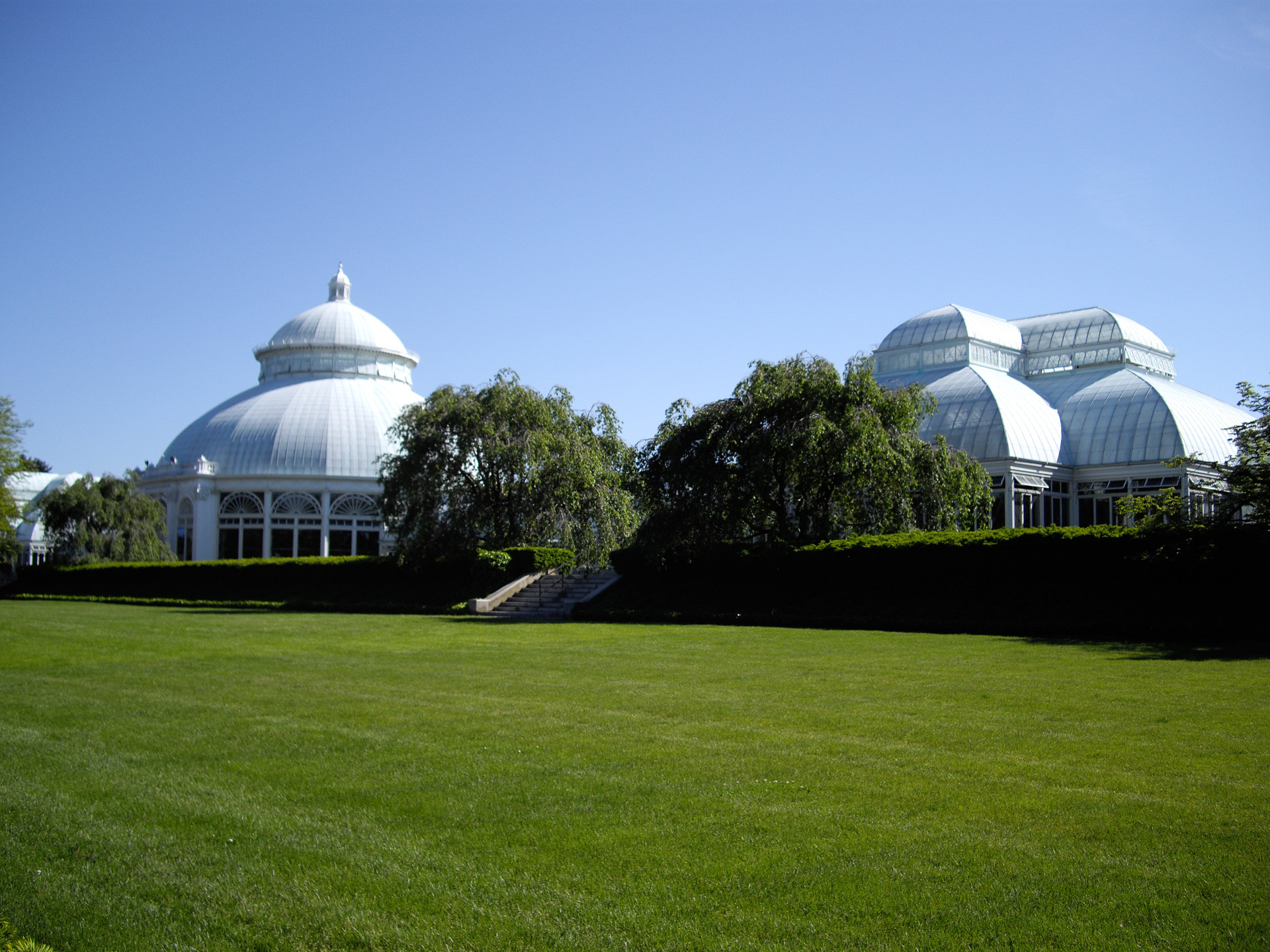Better Things to Do in NYC (2 of 7)