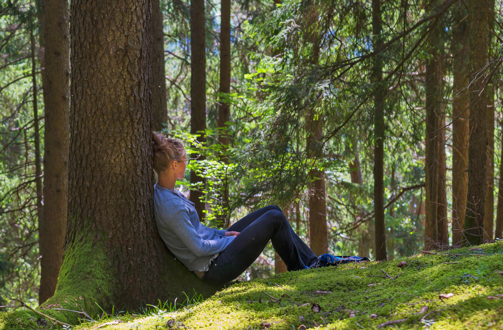 Forest Bathing Sussex (2 of 9)