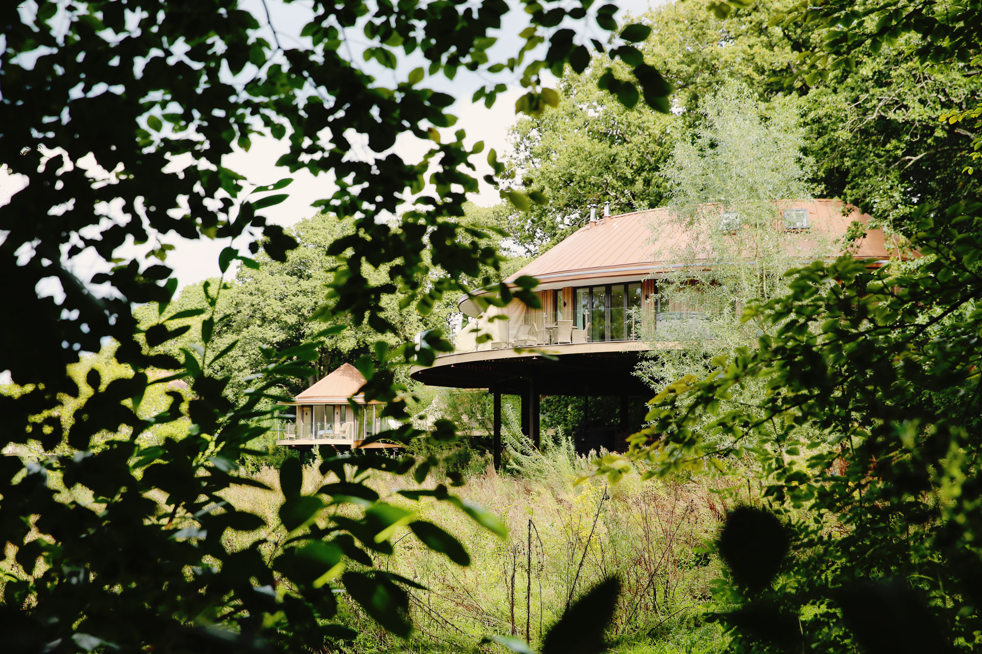 Forest Bathing Sussex (9 of 9)