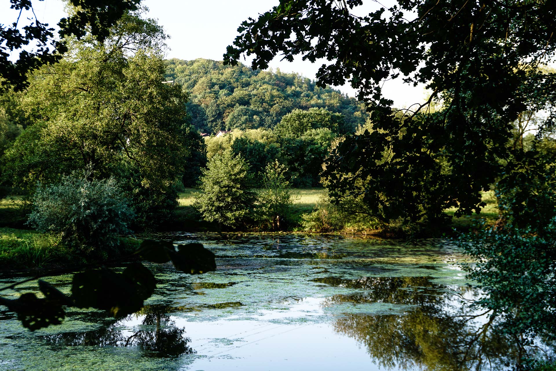 Water, forest and fish of your dreams - in the Land of a Thousand Lakes 32 Water, forest and fish of your dreams - in the Land of a Thousand Lakes 4