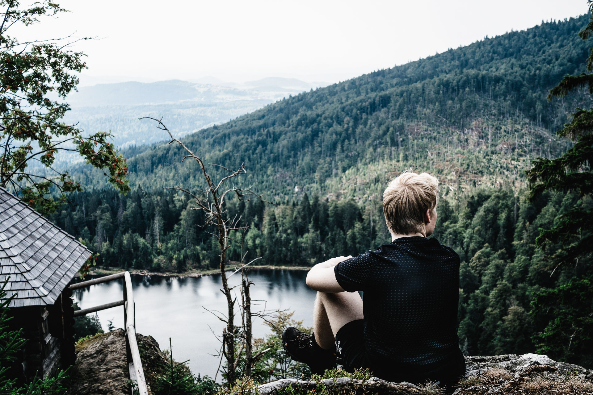 Waldeinsamkeit - Traditional German Wellness Cure for Stress Solitude in Forestslukas-790735-unsplash