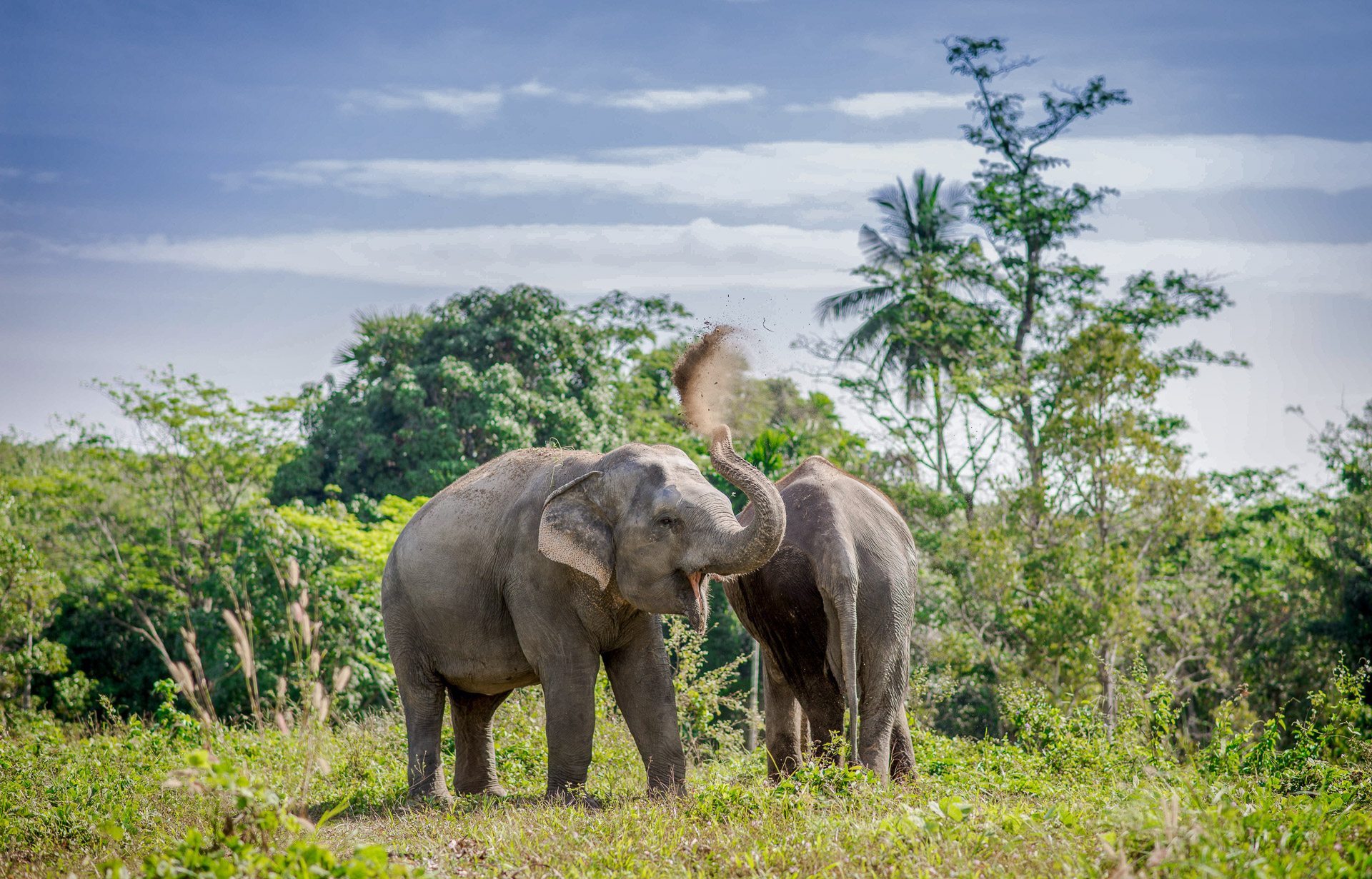 Ethical Elephant Sanctuaries (3 of 10)