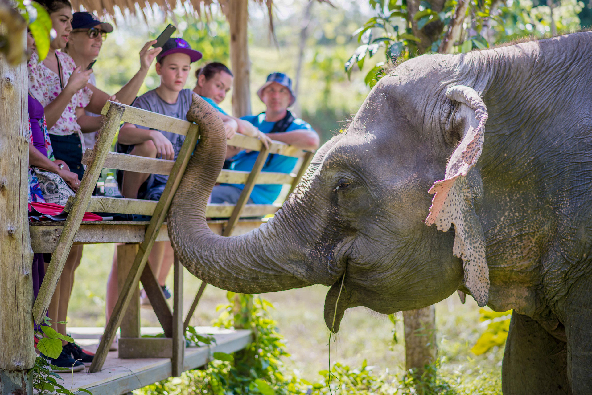 Ethical Elephant Sanctuaries (4 of 10)