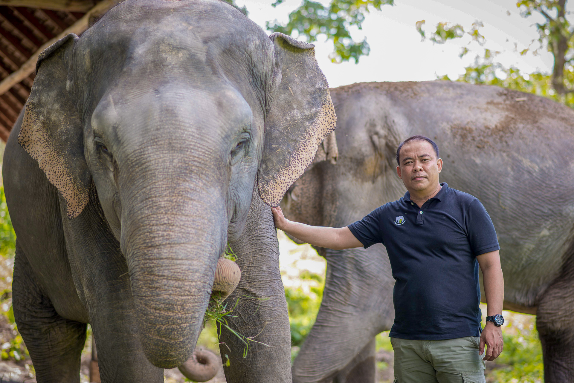 Ethical Elephant Sanctuaries (5 of 10)