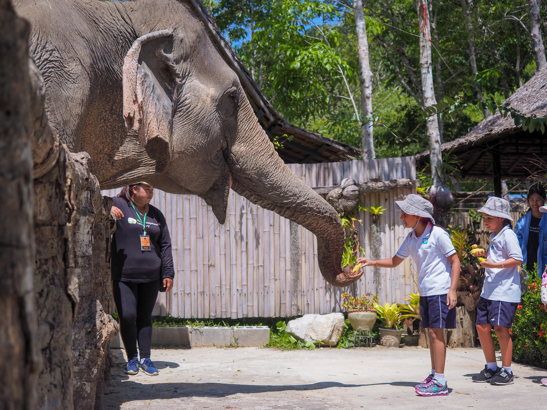 Ethical-Elephant-Sanctuaries-6-of-10