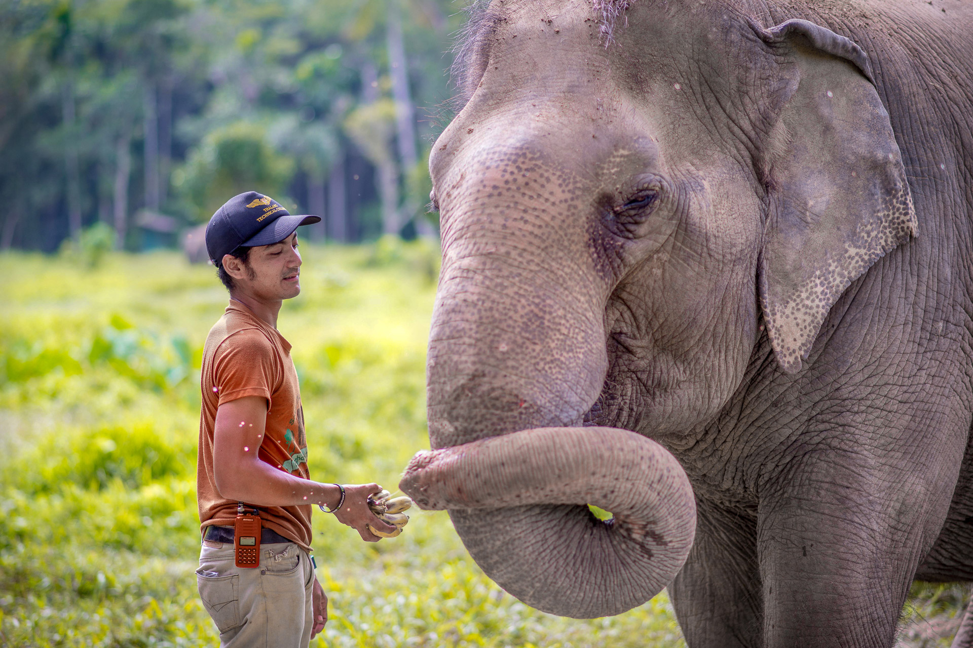 Ethical Elephant Sanctuaries (9 of 10)
