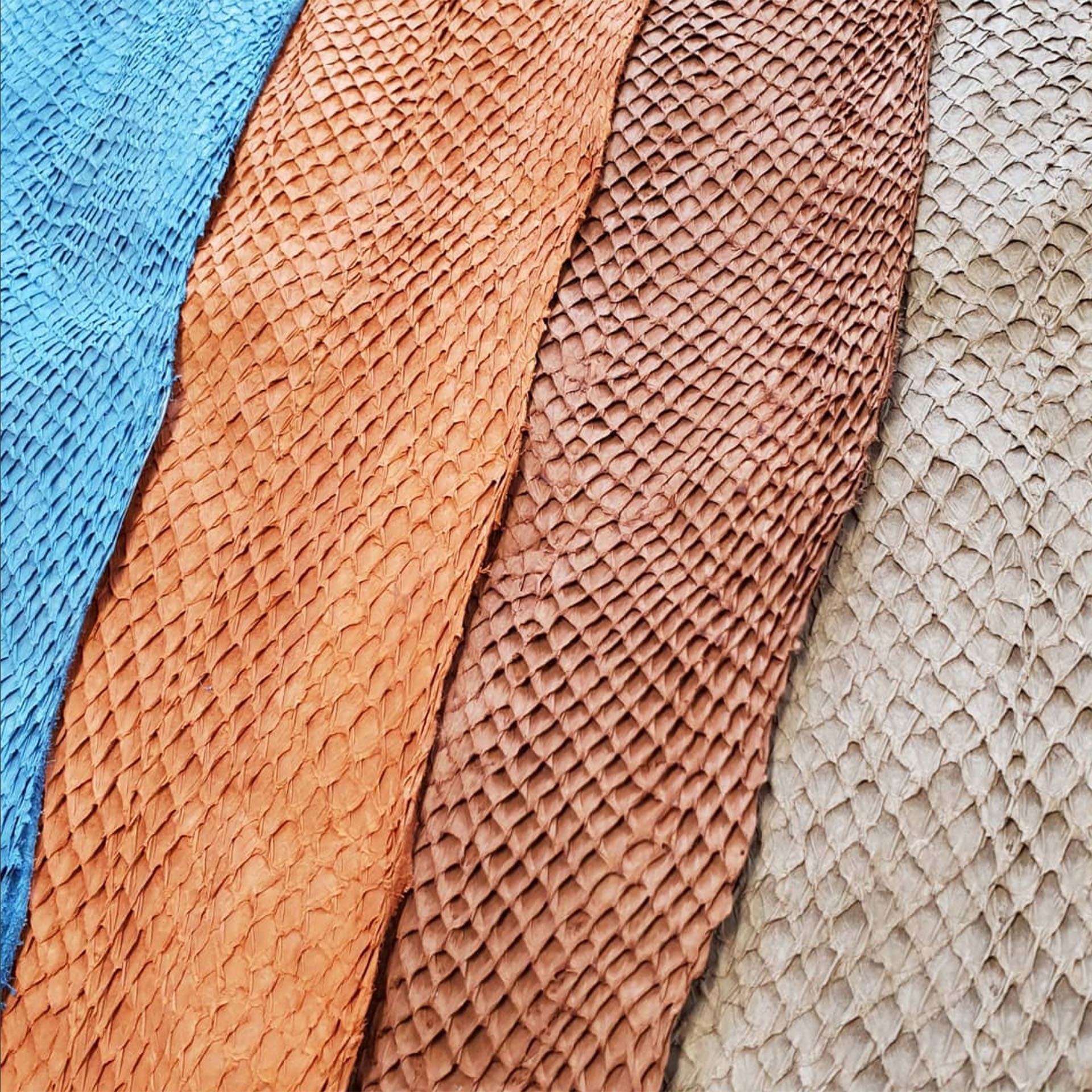 Iceland Fish Leather (3 of 5)