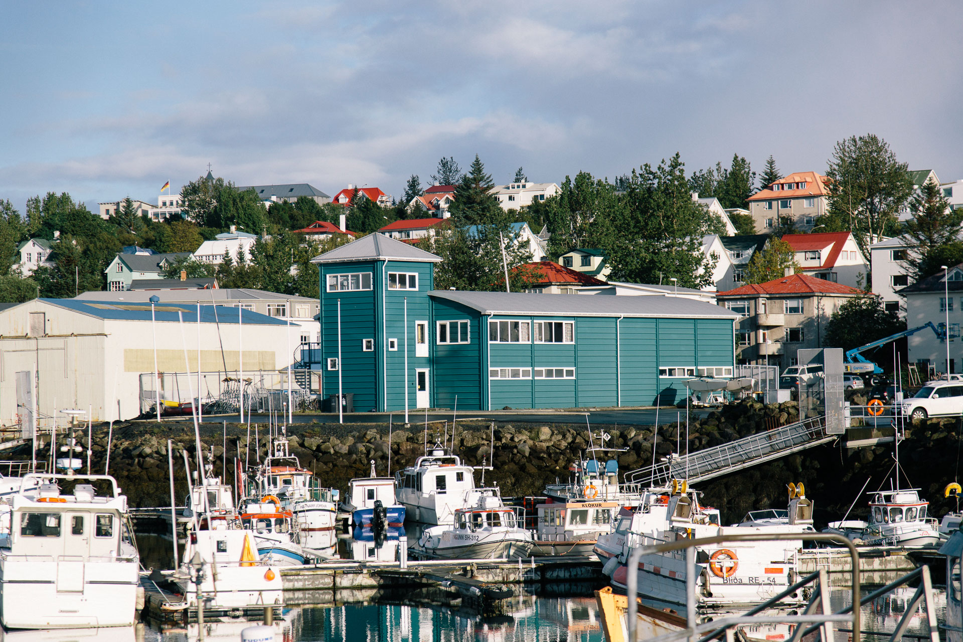 Iceland Fish Leather (5 of 5)